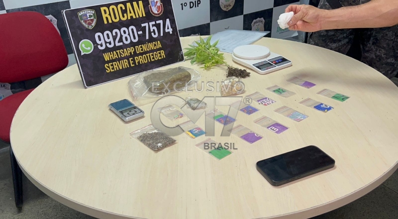 ROCAM apreende drogas e pé de maconha em apartamento no Centro de Manaus; veja vídeos