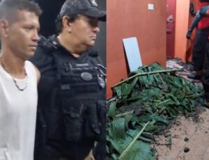 O crime do falso jardineiro: homem estrangula patrão de 67 anos, "faz a limpa" e se passa pela vítima em Manaus; veja vídeo