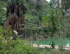 Corpo de jovem desaparecido é encontrado na região da Lagoa Azul, no Distrito Industrial II