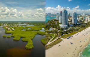Muito além de Miami: os desafios econômicos e geográficos que limitam o crescimento do Norte da Flórida