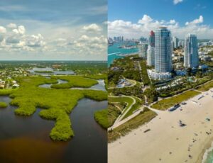 Muito além de Miami: os desafios econômicos e geográficos que limitam o crescimento do Norte da Flórida