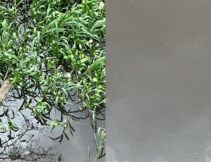 Urgente: corpo de uma mulher é encontrado boiando no Igarapé do bairro São Jorge; veja vídeo