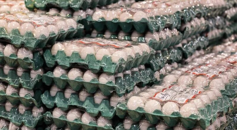 Guerra entre EUA e Irã pode aumentar preços de ovo, frango e carne, diz associação