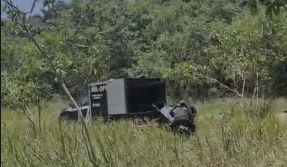 Urgente: corpo em decomposição é encontrado em área de mata no Distrito Industrial em Manaus; veja vídeo