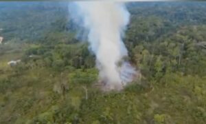 Homem é preso após ser flagrado ateando fogo em área de vegetação na BR-319; veja vídeo