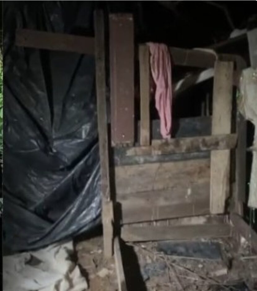 Corpo de homem é encontrado em área de mata na zona oeste de Manaus