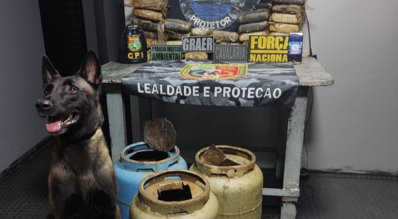 Cão farejador encontra mais de 30kg de drogas escondidos em botijão de gás no AM