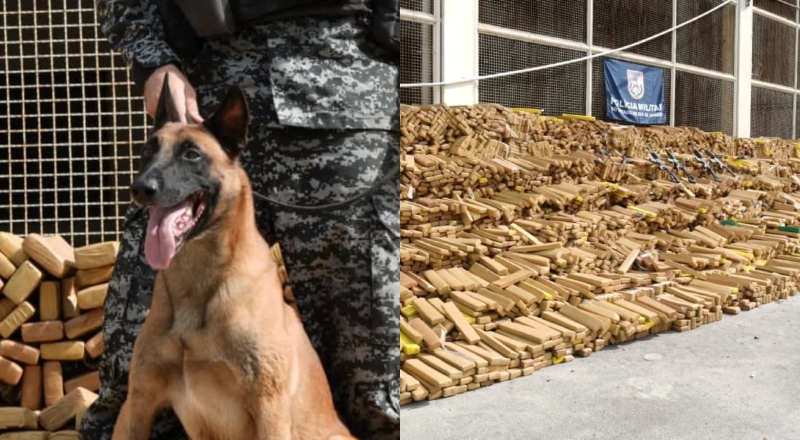 Cão farejador encontra bunker com 48 toneladas de maconha no Rio de Janeiro