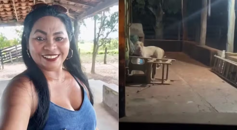 Acidente ou feminicídio? Mulher morre após suposto ataque de pitbull e marido vira alvo de investigação