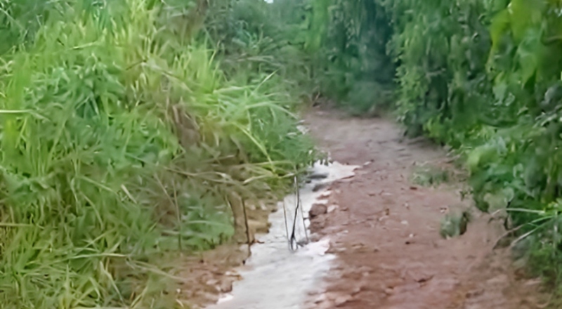 Urgente: jovem é encontrado morto com mãos e pés amarrados em ramal da AM-070; veja vídeos