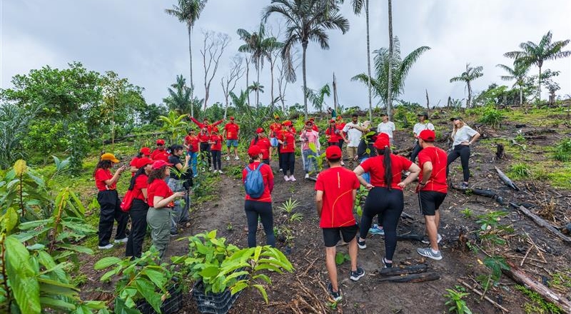 Ação do Grupo Atem no Puraquequara une reflorestamento, educação ambiental e incentivo à bioeconomia local