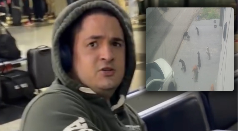 Homem filmado atropelando cachorros em calçada é preso tentando fugir de Manaus para São Paulo; veja vídeo