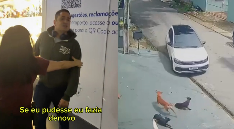 “Se eu pudesse, eu fazia de novo”, diz homem que matou cachorros atropelados em Manaus; veja vídeo