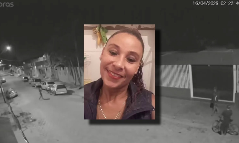 Homem usou taco de beisebol para atacar e matar mulher na frente de vizinhos; veja vídeo