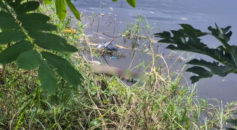 Corpo com sinais de espancamento é encontrado em igarapé de Manaus