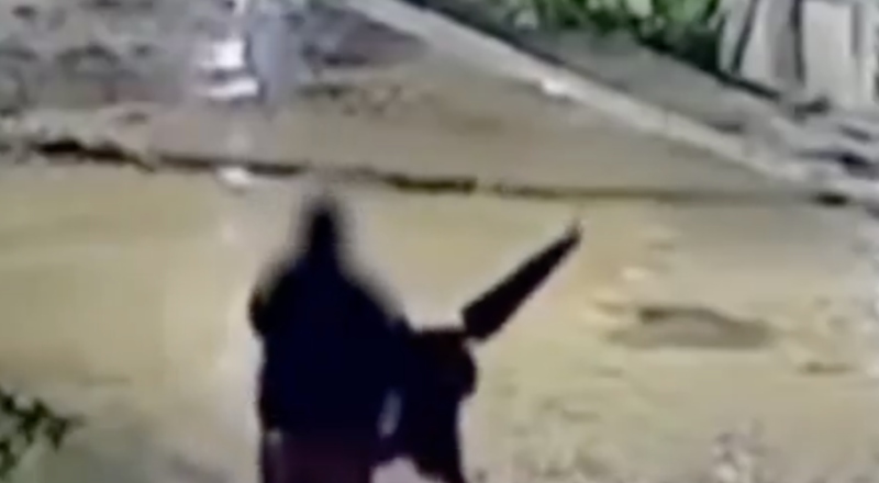 Vovó justiceira: idosa usa sombrinha e fé para botar assaltantes para correr, no AM: “tá repreendido em nome de Jesus”; veja vídeo
