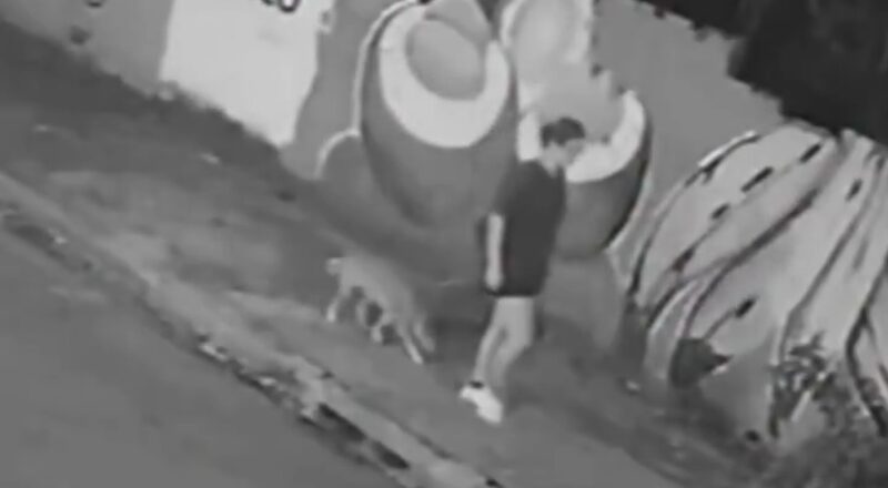 “Ela varou!”: veja momento em que jovem despenca em bueiro após tampa de concreto ceder