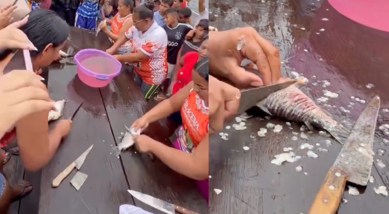 Festival em Borba revela quem é a mulher mais rápida ‘ticando’ o Jaraqui; veja vídeo