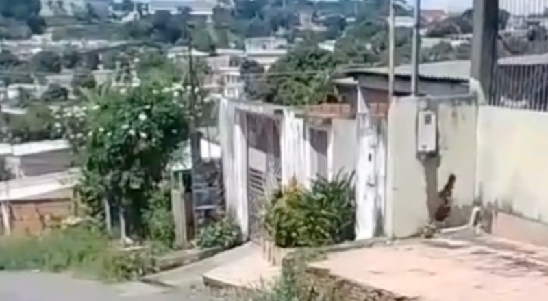 Urgente: suposto ladrão tem ‘CPF cancelado’ na comunidade Campos Sales, em Manaus; veja vídeo