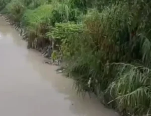 Corpo é encontrado em igarapé no bairro Novo Aleixo e choca moradores em Manaus; veja vídeo