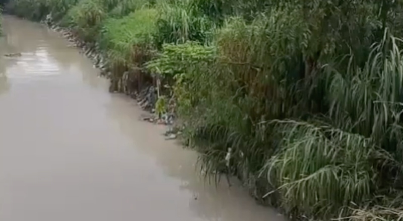 Corpo é encontrado em igarapé no bairro Novo Aleixo e choca moradores em Manaus; veja vídeo