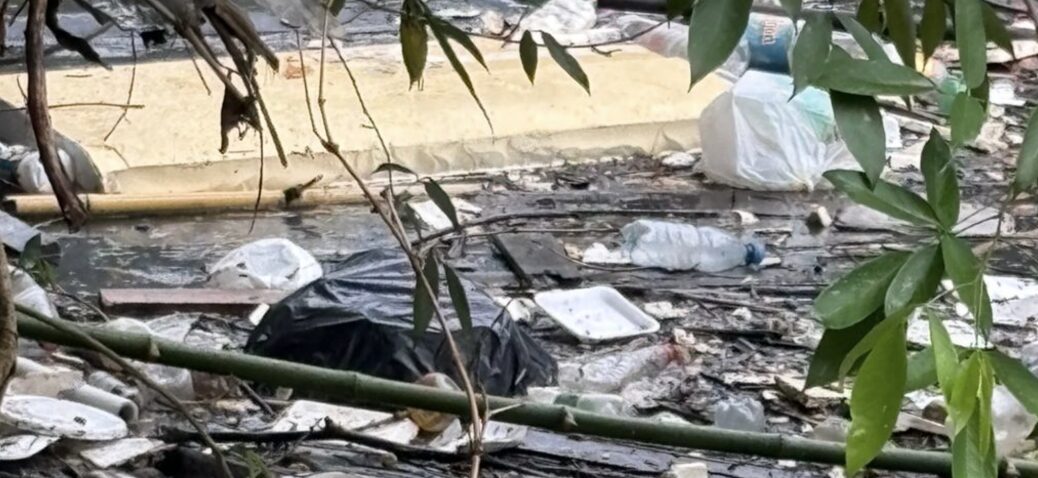 Urgente: mulher trans é assassinada e jogada em igarapé atrás do Bosque Grill em Manaus; veja vídeo