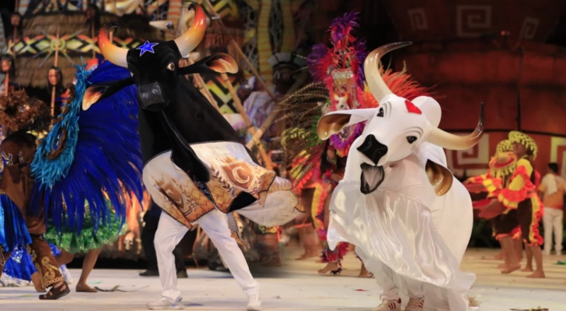 Abertura das três noites do Festival de Parintins 2026 será do Caprichoso após vitória em sorteios