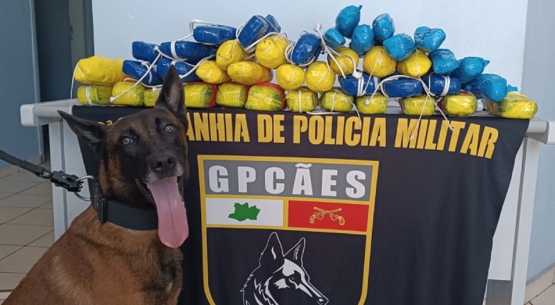 Cão farejador localiza carga de drogas em barco no interior do estado