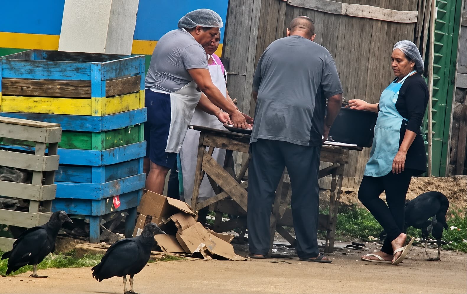 Servidores do prefeito Renato Afonso preparam merenda escolar no meio da rua e ao lado de cachorros e urubus em Pauini; veja vídeo