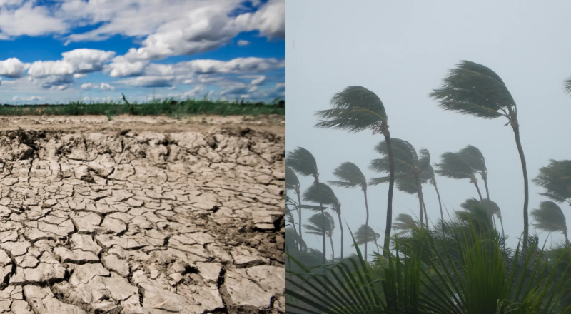 Alerta preocupante: El Niño deve ficar mais intenso nos próximos meses, diz ONU
