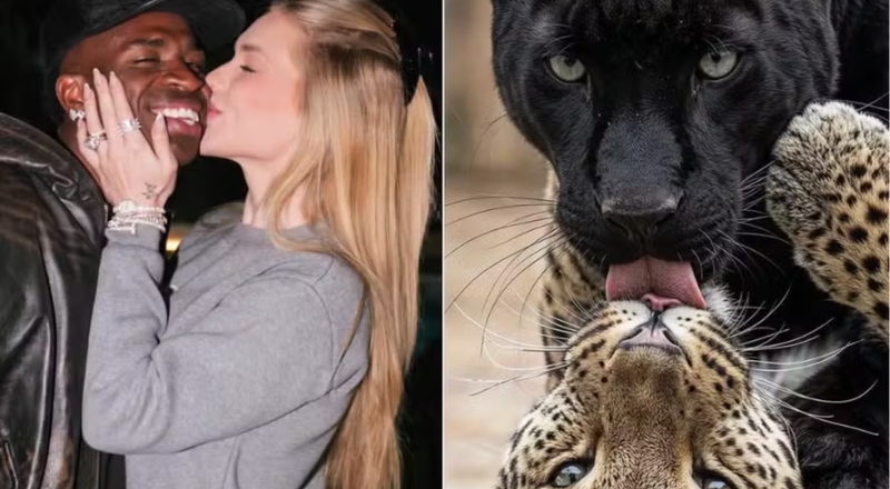 Papel de parede do WhatsApp de Virginia Fonseca chama atenção e reacende rumores de romance com Vini Jr, veja