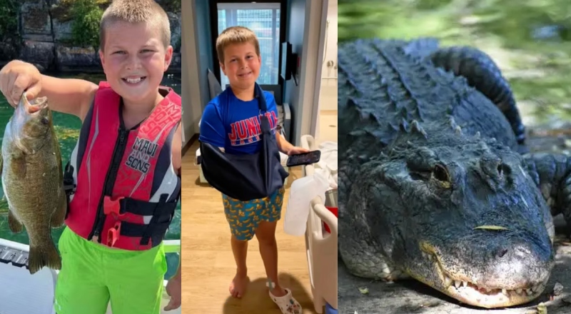 Pescaria em família termina em tragédia: Menino de 11 anos perde a mão após ataque de jacaré na Flórida; vídeo