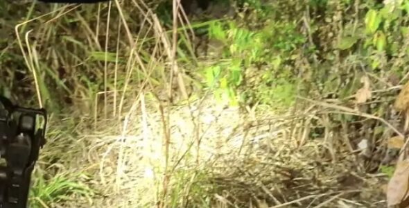 Cena Brut4l: antes de ser encontrado, adolescente foi esp4ncado e tortur4do até a m0rte; veja vídeo