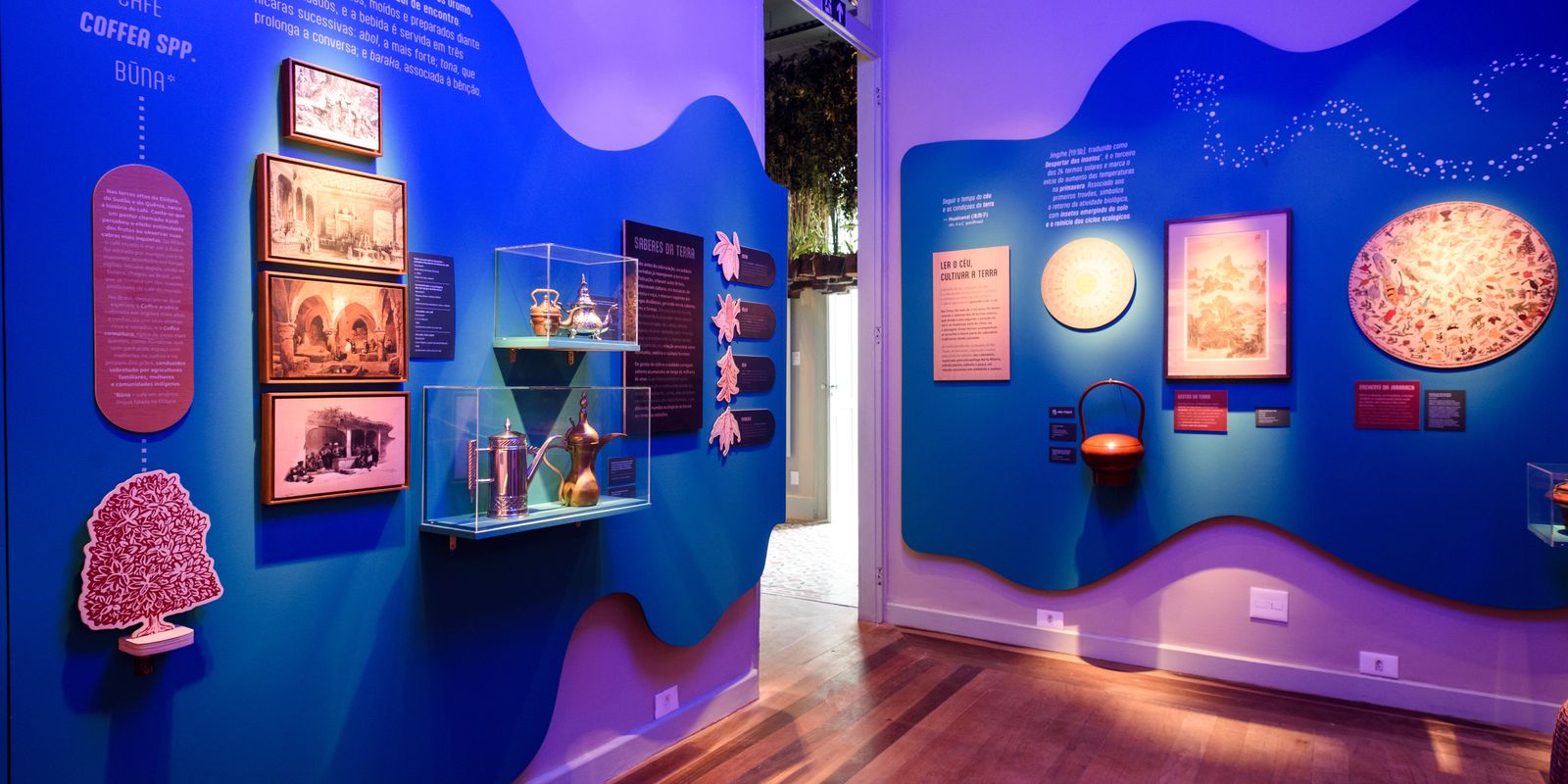 Exposição O Tempo das Plantas: Uma Experiência de Desaceleração