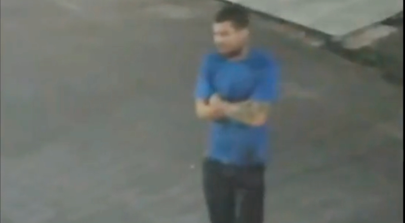 Tutor de pitbull é alvo de críticas após ataque que terminou com gato morto em Manaus; veja vídeo