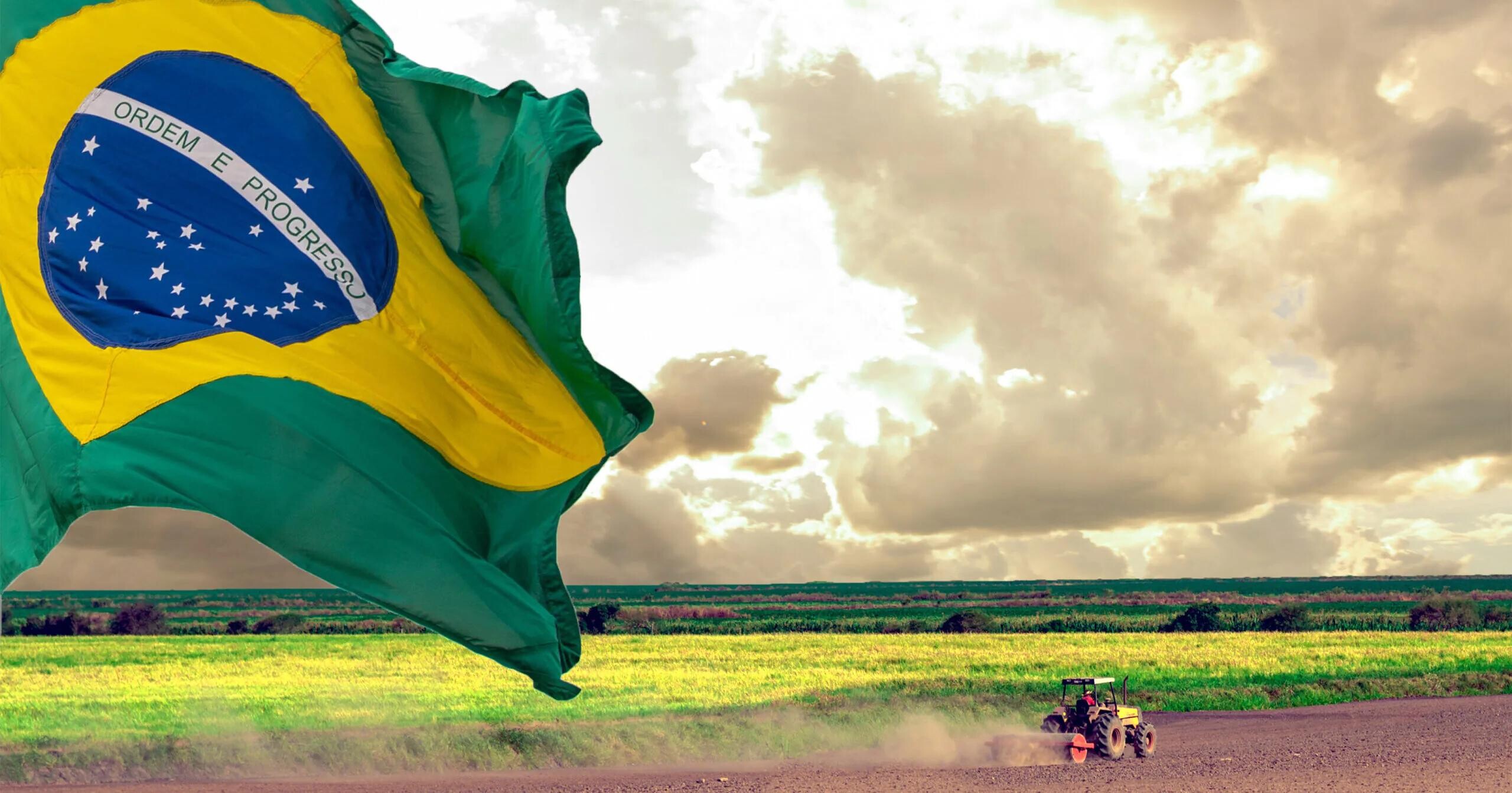 Agronegócio em alta: Brasil encosta na liderança americana nos embarques agrícolas mundiais