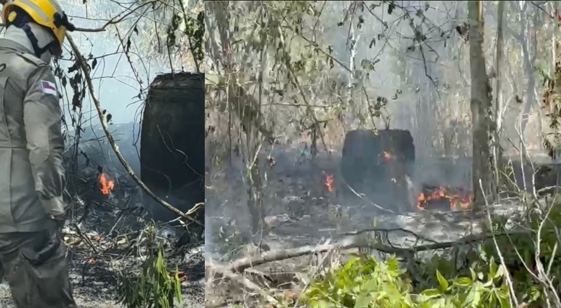 Princípio de incêndio atinge área de mata no Colônia Japonesa em Manaus; veja vídeo