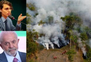 Deputado federal Amom cobra reação de Lula às queimadas e alerta para perda de apoio no Amazonas; veja