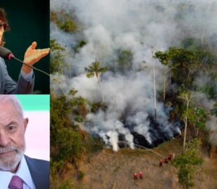 Deputado federal Amom cobra reação de Lula às queimadas e alerta para perda de apoio no Amazonas; veja
