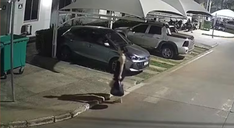 Desumano: Câmeras de segurança mostram mãe abandonando filha recém-nascida em lixeira; veja vídeo