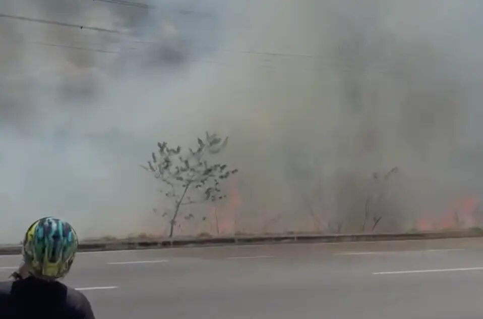 Incêndio atinge área de mata na Avenida das Torres, em Manaus; veja vídeo
