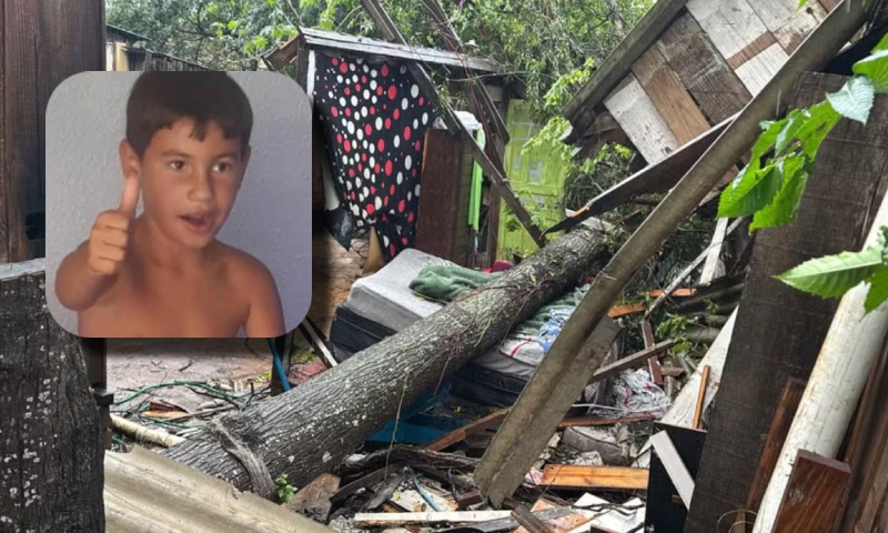 Menino de 8 anos morre após árvore cair sobre casa; veja vídeo