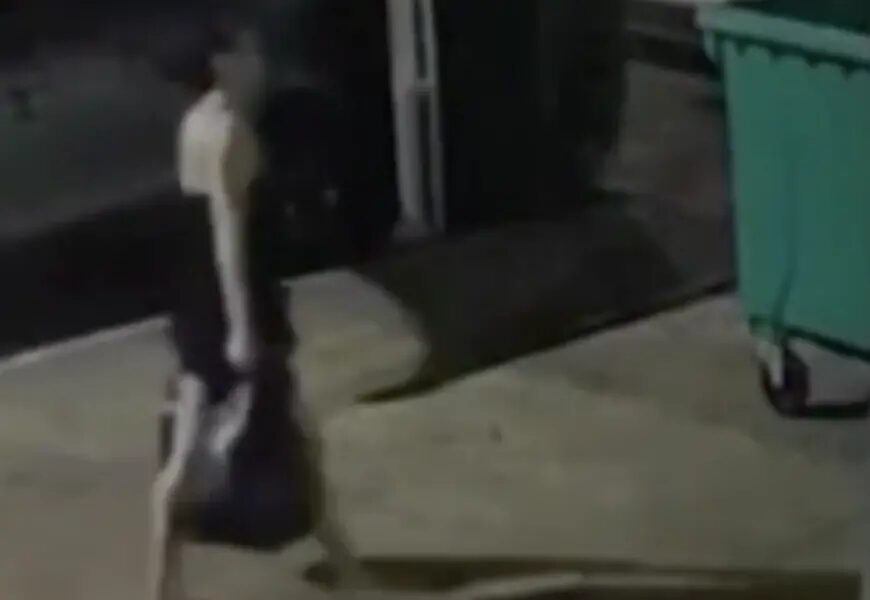 Imagens chocantes: mãe é flagrada jogando a filha recém-nascida em lixeira de condomínio; veja momento