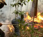 O Amazonas continua em chamas! Queimadas e estiagem afetam mais de 15 mil indígenas em 124 aldeias; veja vídeo