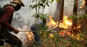 O Amazonas continua em chamas! Queimadas e estiagem afetam mais de 15 mil indígenas em 124 aldeias; veja vídeo