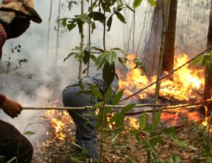 O Amazonas continua em chamas! Queimadas e estiagem afetam mais de 15 mil indígenas em 124 aldeias; veja vídeo