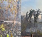 Fogo em Autazes é controlado, e atuação dos bombeiros e do prefeito Thomé Neto ganha reconhecimento; veja
