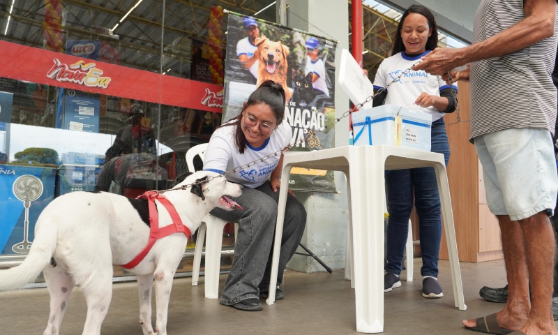 Prefeitura de Manaus inicia campanha de vacinação antirrábica com meta de imunizar mais de 280 mil animais