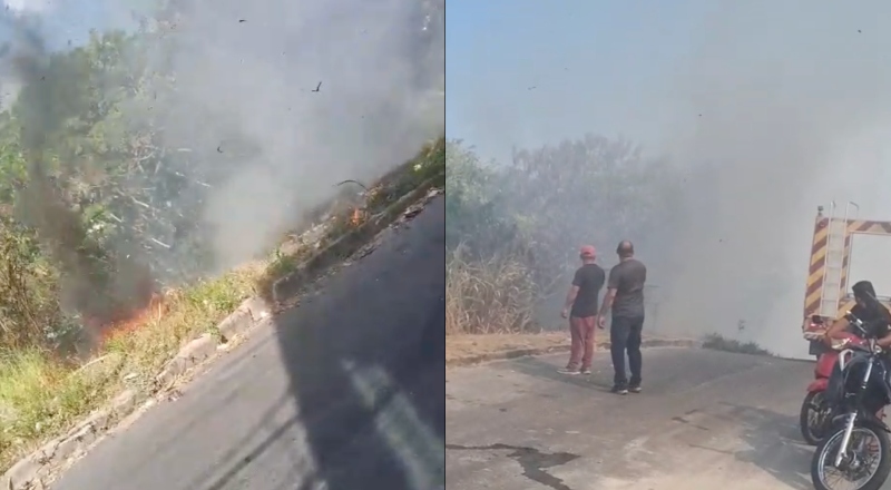 Urgente: Incêndio atinge área de mata no bairro Novo Aleixo; veja vídeo