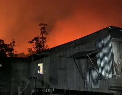 Incêndio florestal avança e ameaça destruir casas na estrada de Novo Airão; veja vídeo